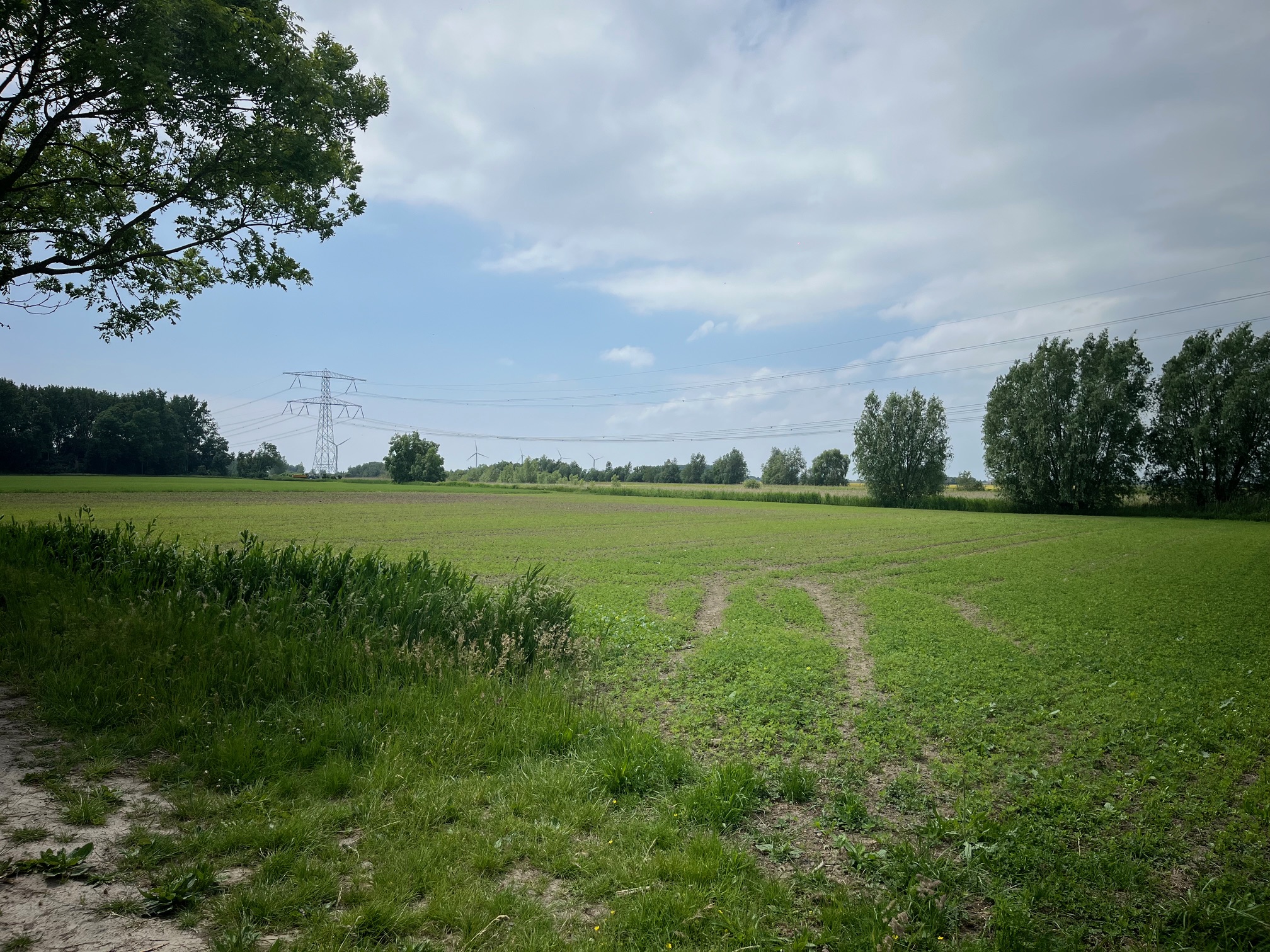 Sint-Ignatiusdijk ong